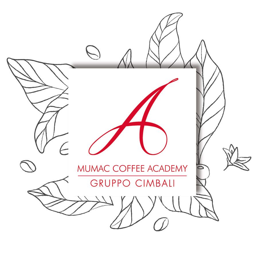 Nuovo restyling logo Mumac Academy